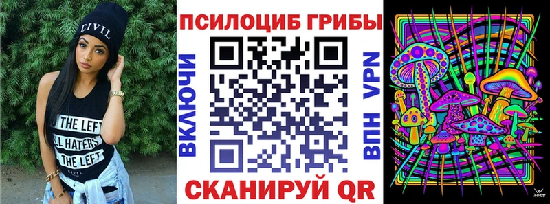 Галлюциногенные грибы Psilocybine cubensis  Тольятти 