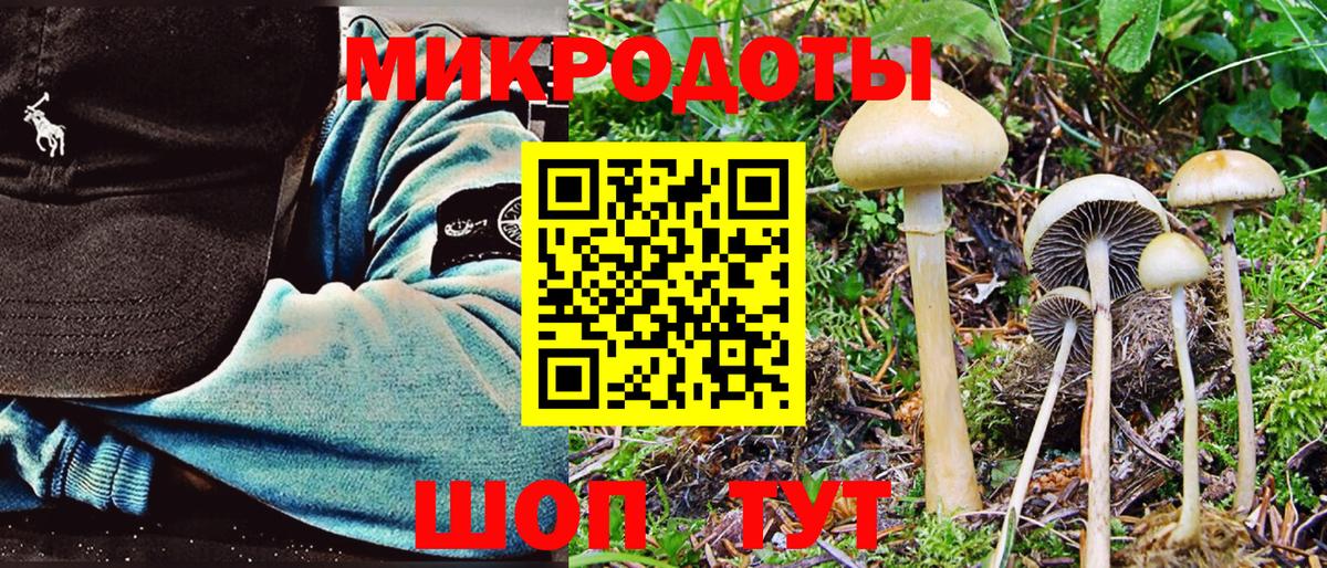 Псилоцибиновые грибы Cubensis  Галлюциногенные грибы GOLDEN TEACHER  Тольятти  Вход с VPN 