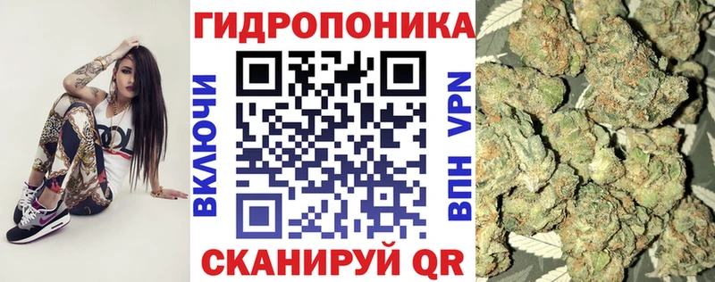 наркошоп  Тольятти  Каннабис сатива 